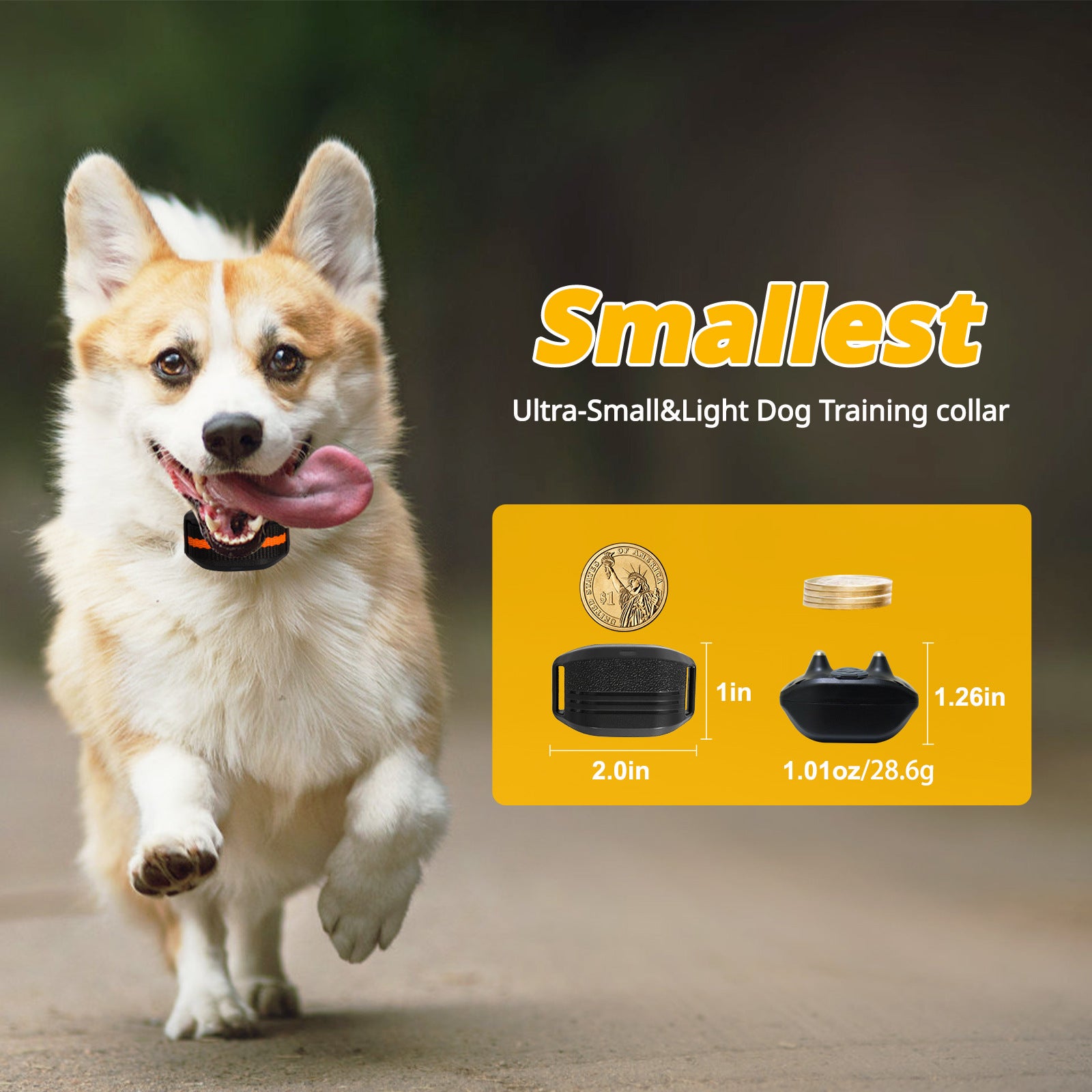 Ultra-Small & Lightweight Dog Training Collar with Remote - 3 Modes, Adjustable Levels, Fits All Sizes black