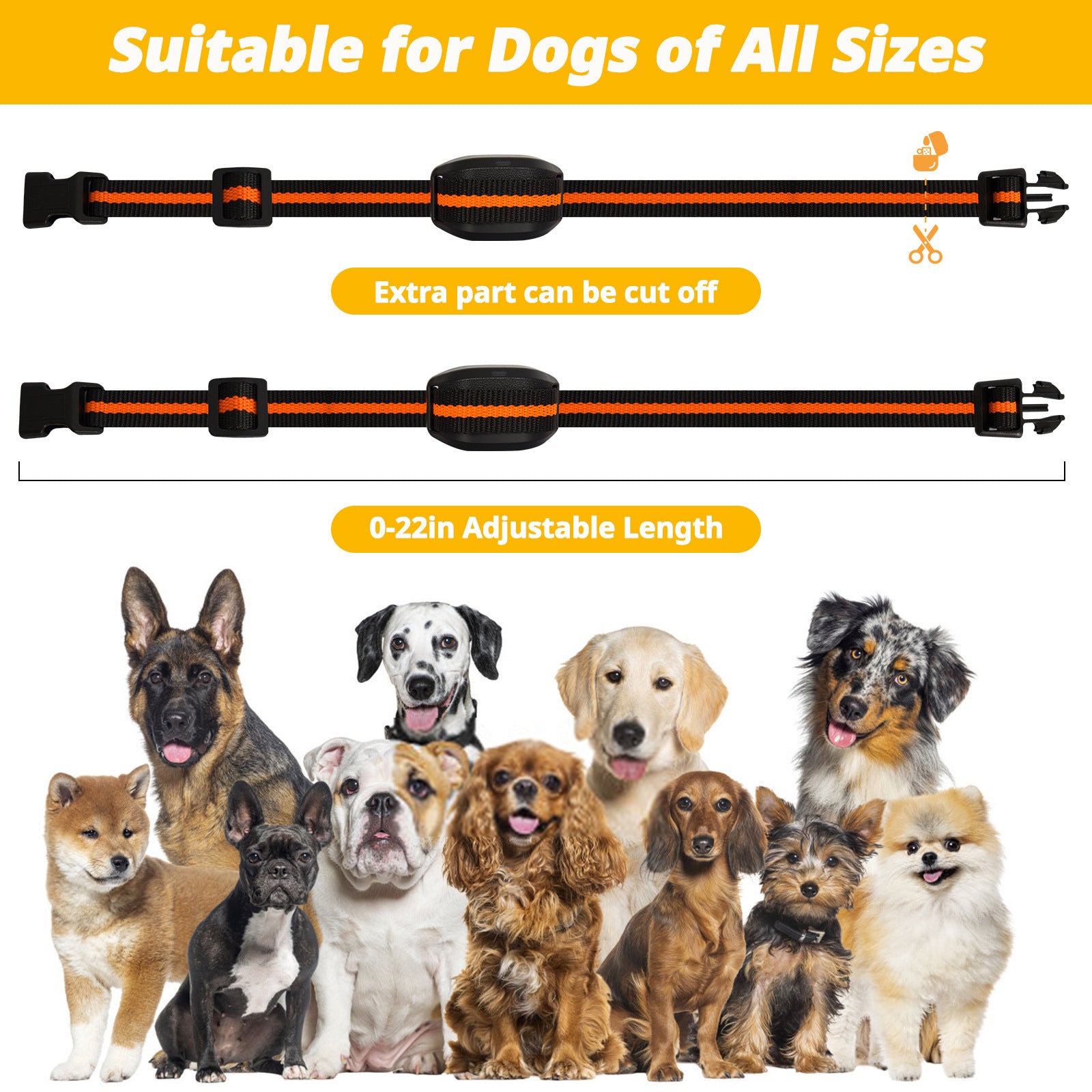 Ultra-Small & Lightweight Dog Training Collar with Remote - 3 Modes, Adjustable Levels, Fits All Sizes black