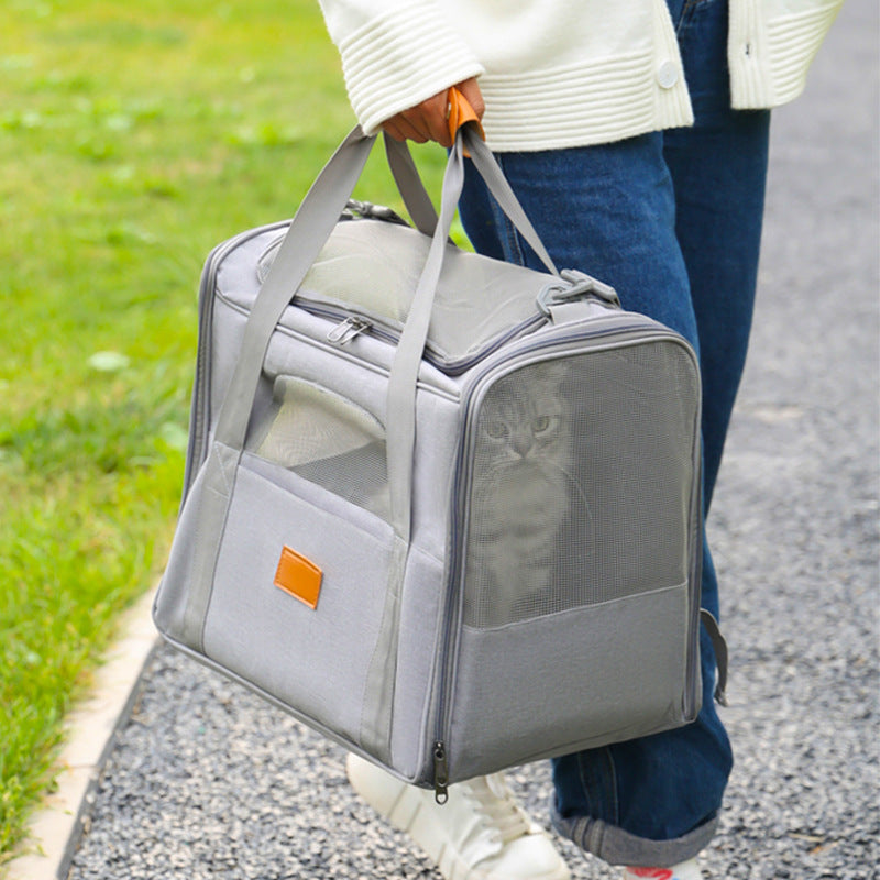Foldable Soft-Sided Pet Carrier for Travel - Fits Cats & Small Dogs Under 6kg, with Removable Plush Bed & Shoulder Strap black