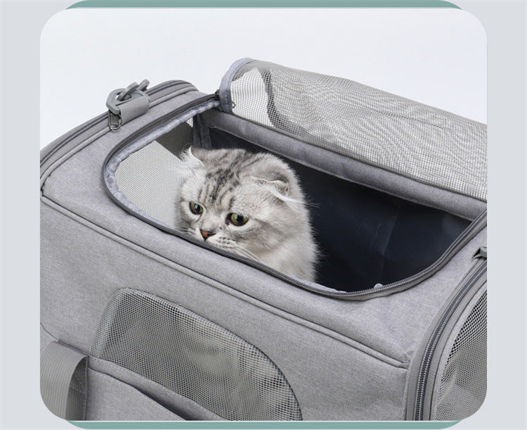 Foldable Soft-Sided Pet Carrier for Travel - Fits Cats & Small Dogs Under 6kg, with Removable Plush Bed & Shoulder Strap black