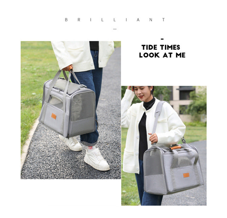 Foldable Soft-Sided Pet Carrier for Travel - Fits Cats & Small Dogs Under 6kg, with Removable Plush Bed & Shoulder Strap grey