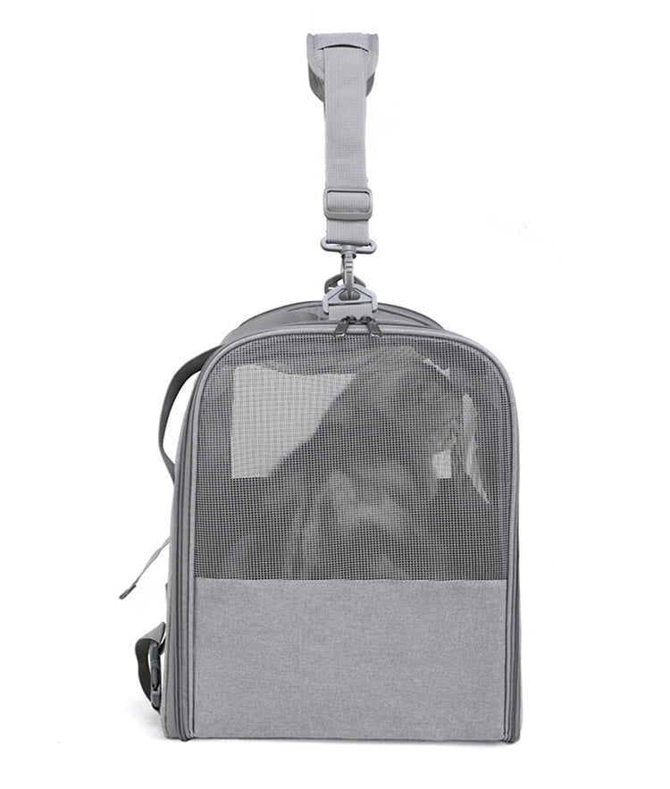 Foldable Soft-Sided Pet Carrier for Travel - Fits Cats & Small Dogs Under 6kg, with Removable Plush Bed & Shoulder Strap grey
