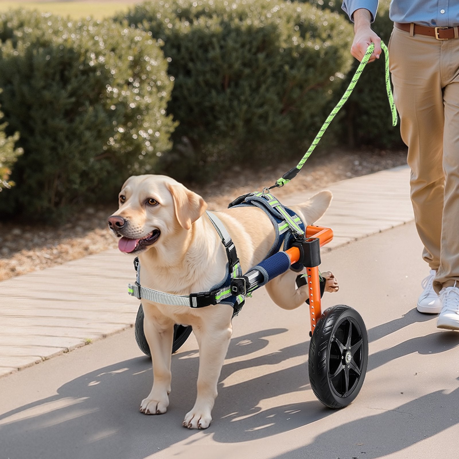VEVOR Dog Wheelchair for Back Legs, Lightweight 2 Wheels Pet Wheelchair, Height, Width & Length Adjustable, Dog Cart with Shock-Absorbing Wheels, for Injured, Disabled Dogs 15.8-21.7 kg, Medium