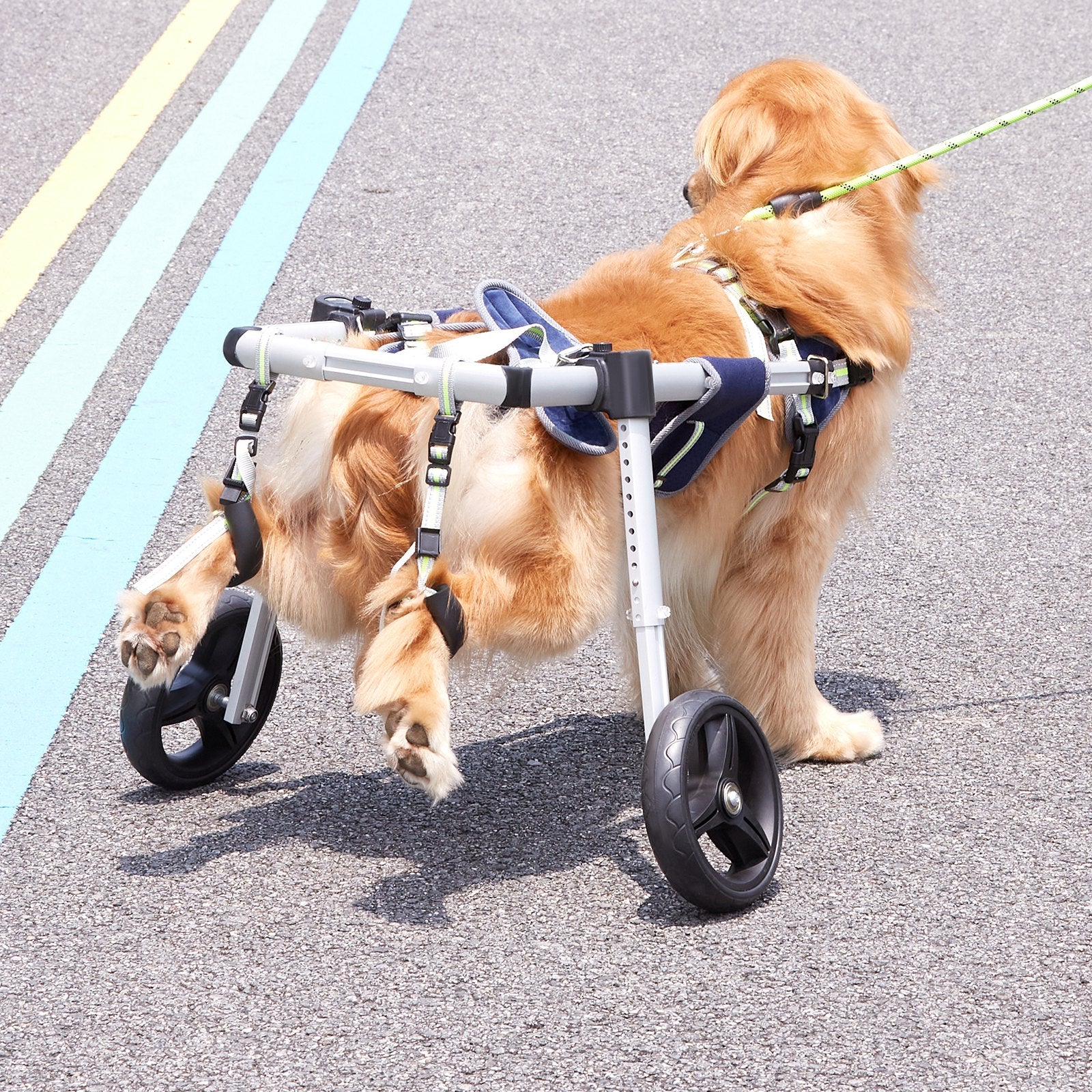 VEVOR 2 Wheels Dog Wheelchair for Back Legs, Pet Wheelchair Lightweight & Adjustable Assisting in Healing, Dog Cart/Wheelchair for Injured, Disabled, Paralysis, Hind Limb Weak Pet M
