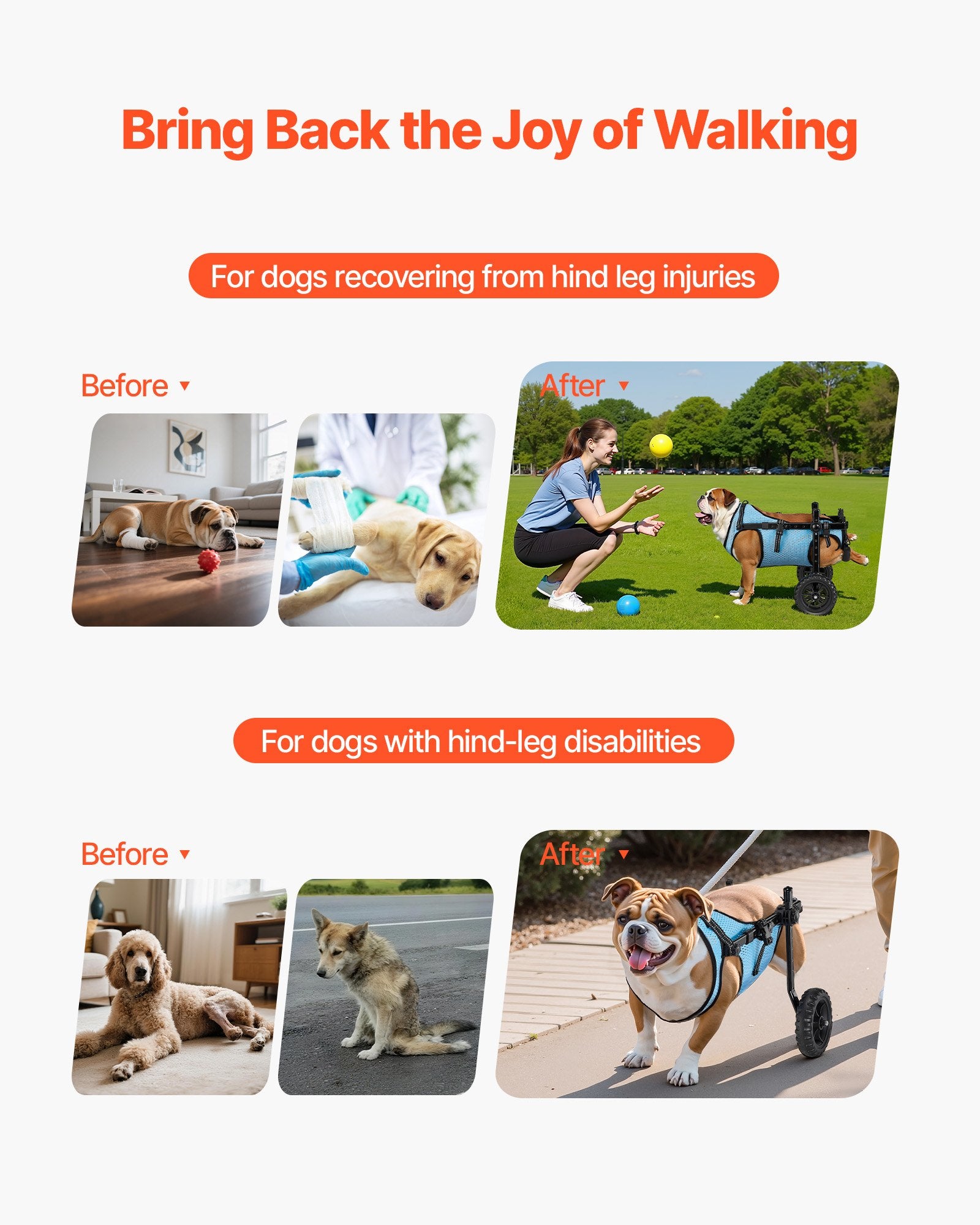 VEVOR Dog Wheelchair for Back Legs, Adjustable 2 Wheels Pet Wheelchair, Lightweight Dog Cart with Shock-Absorbing Wheels, Mobility Support Wheel Chair for Disabled Injured Dogs up to 15kg, Medium
