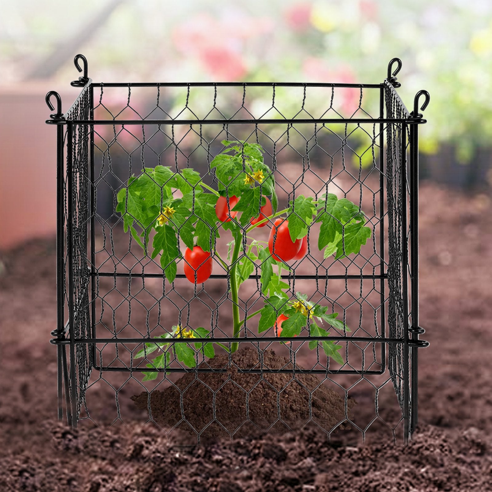 VEVOR 4 Pack Plant Protector from Animals, 13.4'' x 13.4'' Chicken Wire Plant Protector, Plant Cages for Outdoor Plants, Flowers & Vegetables, Keeps Bunny Chicken Squirrels Out, 16pcs Metal Mesh