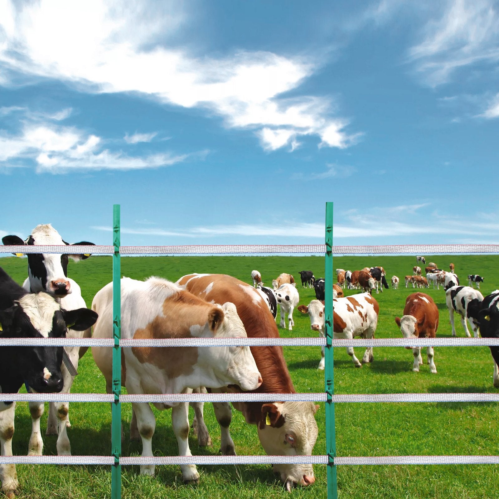 VEVOR Electric Fence Tape, 1640Ft 500M Polytape Fencing Hot Wire, 3/4" Width 6 Stainless Steel Strands for Reliable Conductivity, UV & Rust Resistance, Portable Polywire for Horse Cattle Livestock