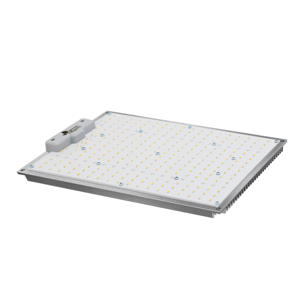 Full Spectrum 1500W LED Grow Light w/ Smart App - Greenfingers