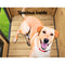 i.Pet Dog Pet Kennel Dog House Large Wooden 96cm x 69cm x 66cm