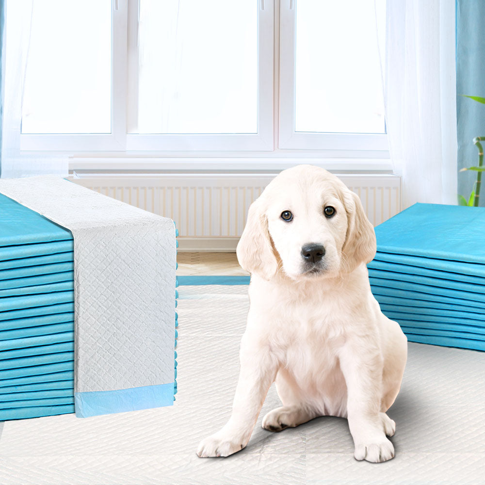 i.Pet Pet Training Pads 200pcs 60x60cm Puppy Dog Toilet Pee Indoor Super Absorbent Blue