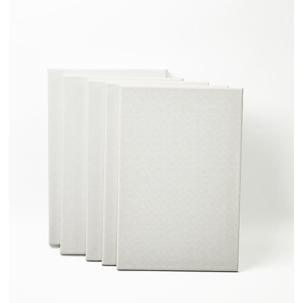 5 pack of 20x30cm Artist Blank Stretched Canvas Canvases Art Large White Range Oil Acrylic Wood