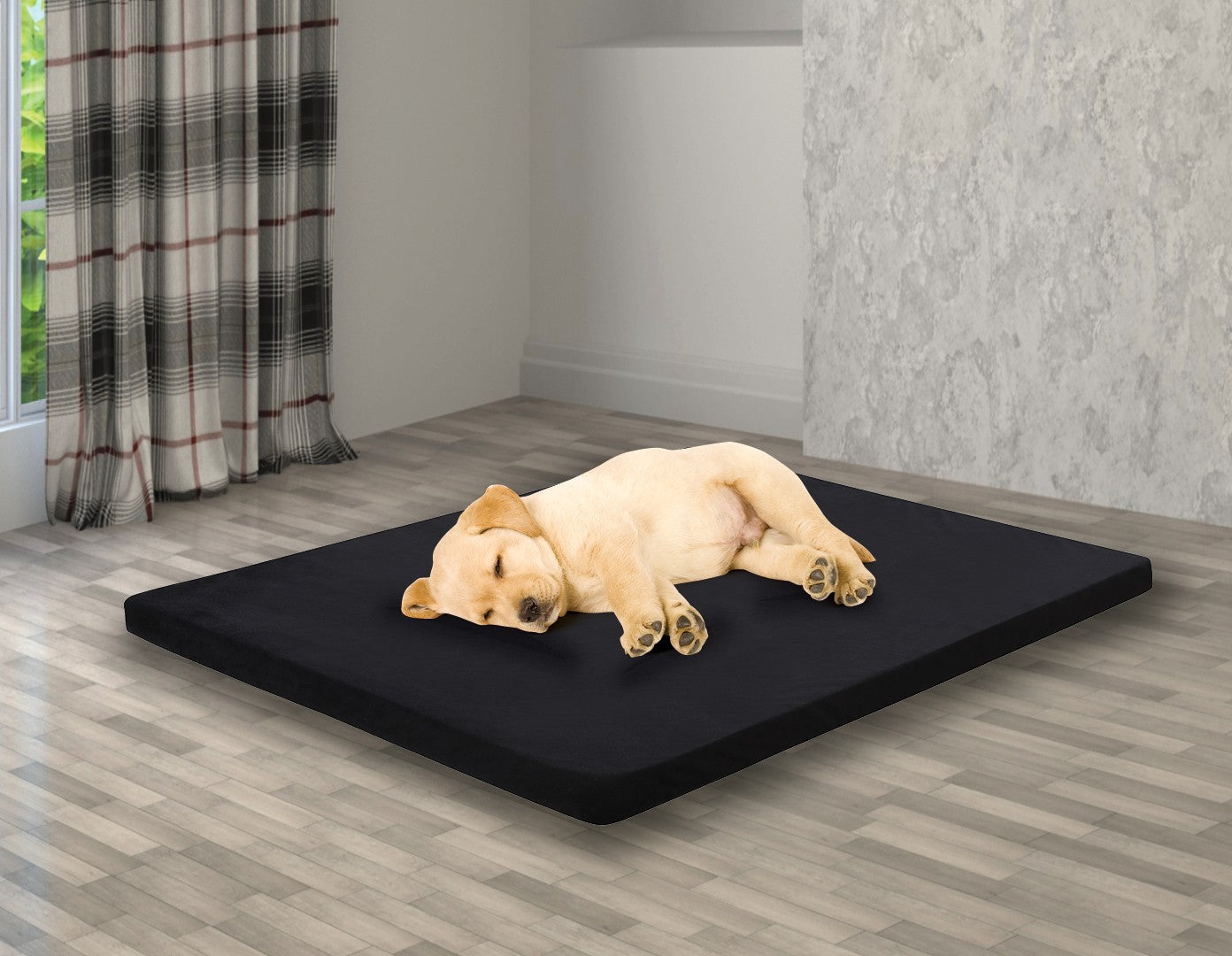 Foam mattress dog clearance bed