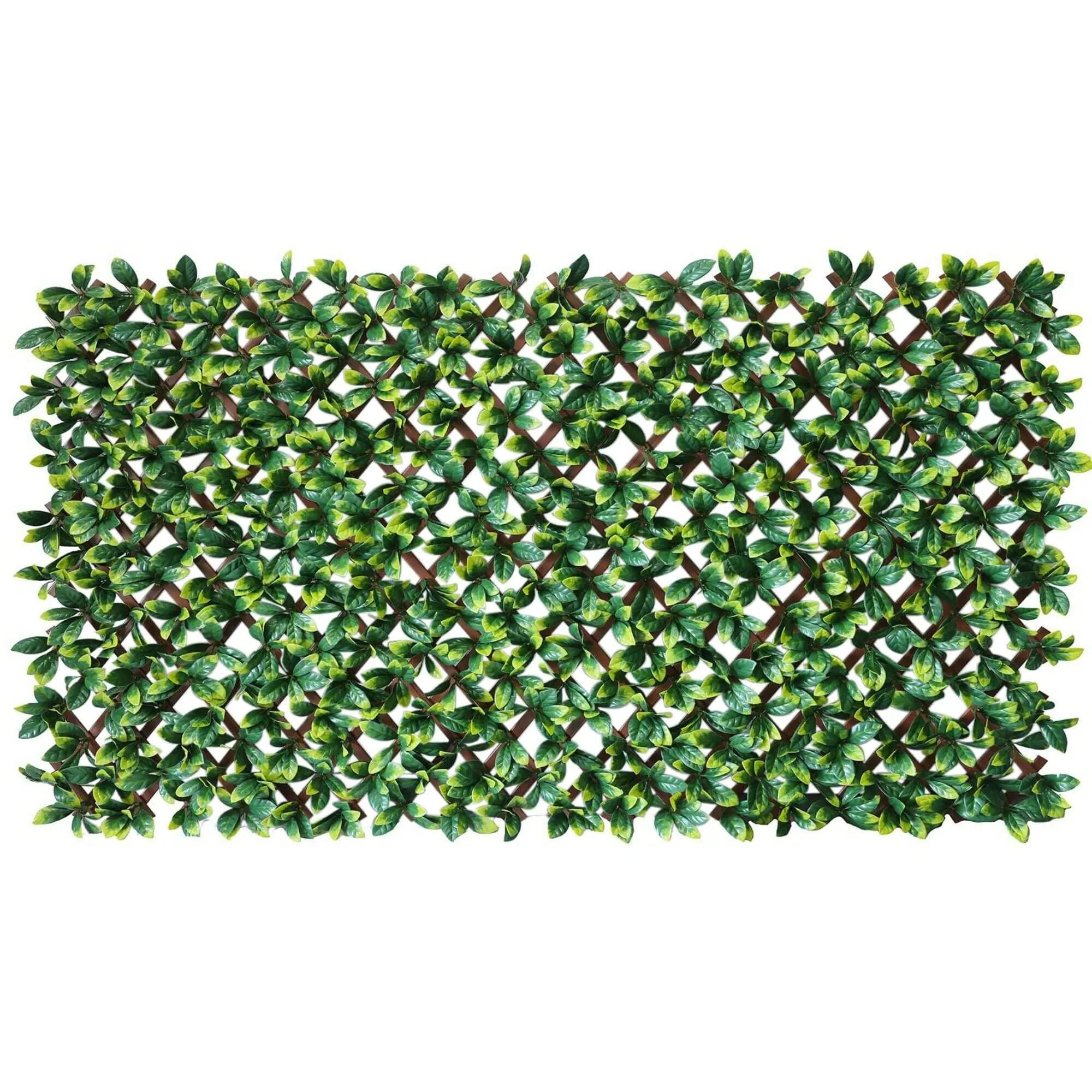 Premium Laurel Leaf Artificial Hedge Extendable Trellis / Screen 2 Meter By 1 Meter UV Resistant (PVC)