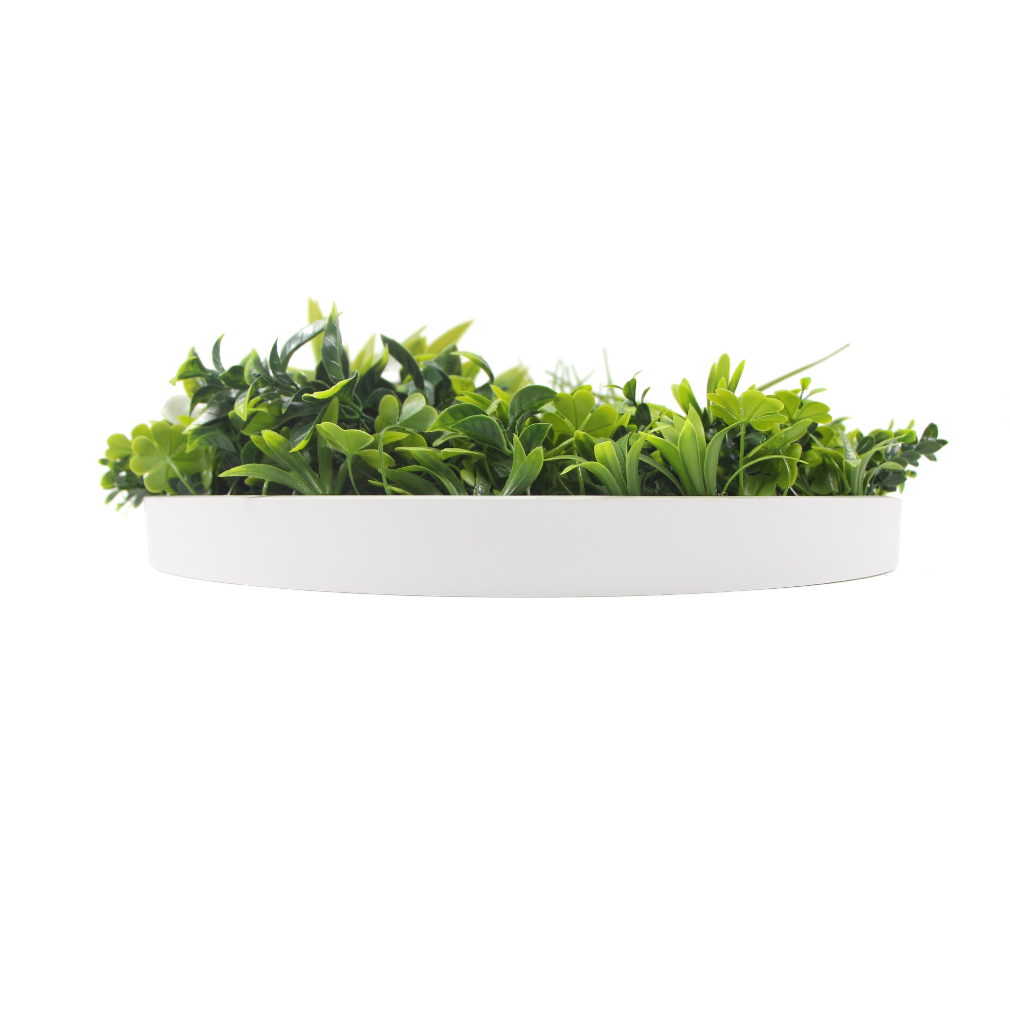 Flowering White Artificial Green Wall Disc UV Resistant 75cm (White Frame)