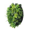 Slimline Artificial Green Wall Disc Art 60cm Mixed Green Fern & Ivy (Black)